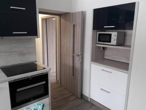 Kuchyň nebo kuchyňský kout v ubytování Apartman Dominik