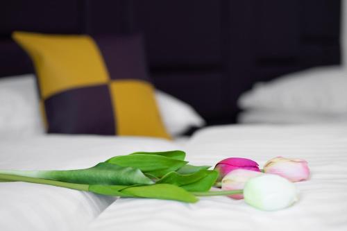 a group of flowers on a white table at Appartements-Dalila in Sankt Michael im Lungau