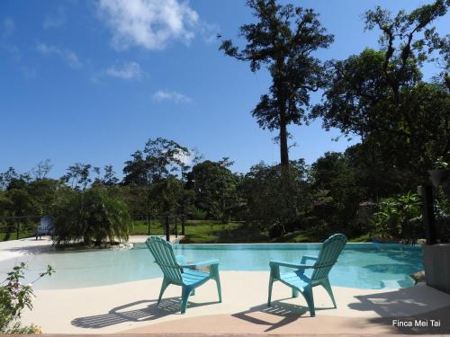 two chairs sitting next to a swimming pool at Mei Tai Cacao Lodge in Bijagua