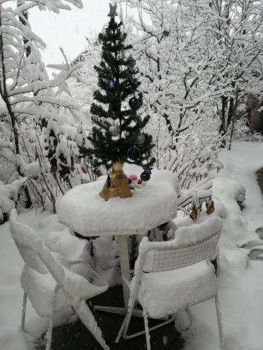 a table with a christmas tree in the snow at Art Studio in Sapareva Banya