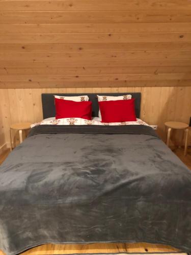 a bedroom with a bed with two red pillows at Chochołowskie Spanie in Chochołów