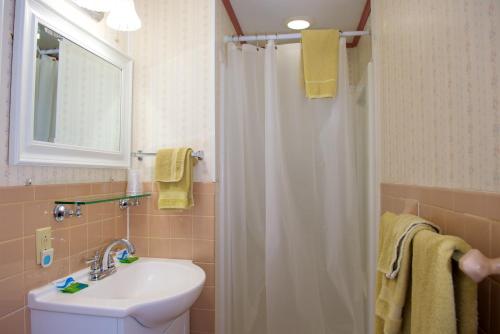a bathroom with a sink and a shower with a shower curtain at Myer Country Motel in Milford