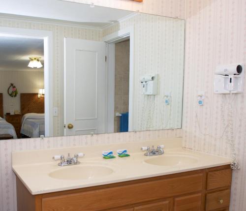 a bathroom with a sink and a large mirror at Myer Country Motel in Milford