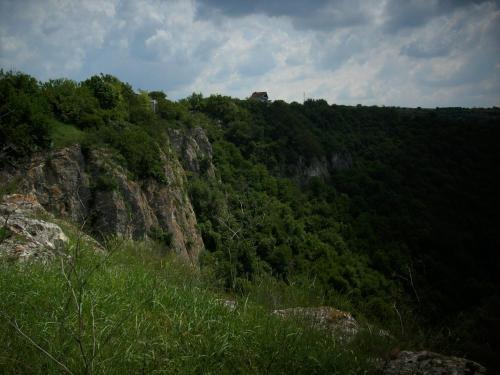 a view of a mountain with trees and rocks at Къща под наем PETROVA in Cherven