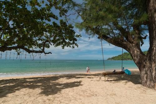 a swing hanging from a tree on a beach at The Briza Beach Resort, Khao Lak SHA Extra Plus in Khao Lak