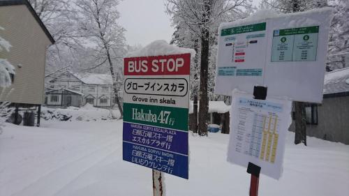 Hakuba Matata Lodge v zimě