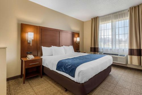 Krevet ili kreveti u jedinici u objektu Comfort Suites Cedar Falls