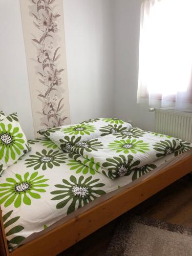 Gallery image of Hanga Apartments in Sovata