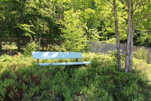 a blue bench sitting in the middle of a field at Gästehaus Hochrhönblick in Schönau an der Brend