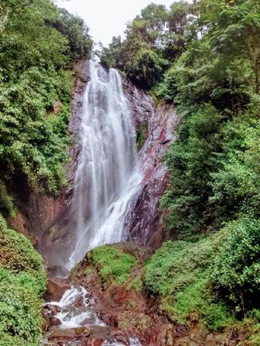 a waterfall in the middle of a forest at Surfing Life in Ahangama