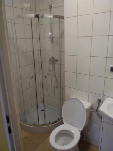 a bathroom with a shower with a toilet and a sink at Bacówka Noclegi in Sierpnica