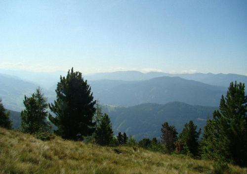a view of a mountain with trees on a hill at Bauernhof Hatzlhof in Schöder