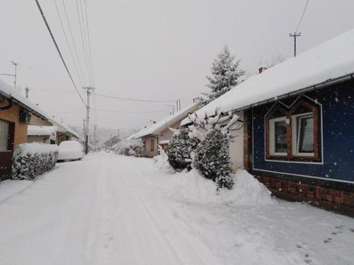 a snow covered street in front of a house at Apartman Vrdničak in Vrdnik