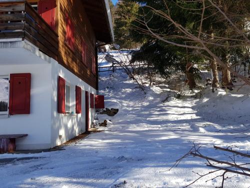 a snow covered sidewalk next to a building with red windows at Haus Siegfried in Churwalden