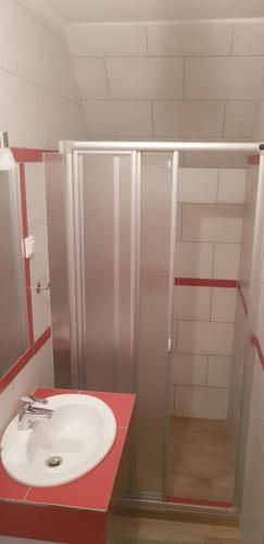 łazienka z umywalką i prysznicem w obiekcie Sofias Apartment w mieście Bad Goisern