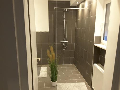 a bathroom with a shower with a plant in it at KRIO Nicola Rothfuchs Ferienwohnung 3 in Veitsrodt