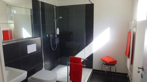 a bathroom with a shower and a toilet and a sink at Fewo Ausblick in Hechthausen