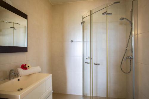 a bathroom with a shower and a sink at Blue Bay Apartments in Sint Michiel