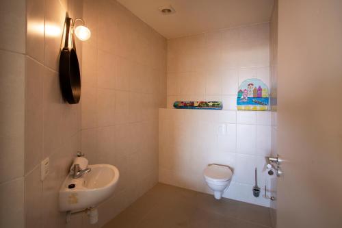 a bathroom with a sink and a toilet at Blue Bay Apartments in Sint Michiel