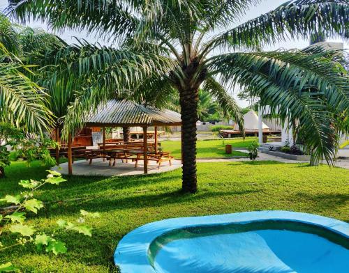 a swimming pool in a yard with a palm tree at Laughing Goat Ghana Hostel in Busua