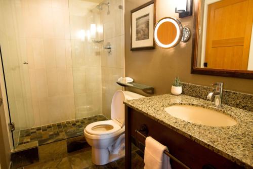 a bathroom with a toilet and a sink and a shower at Sundial Hotel in Whistler