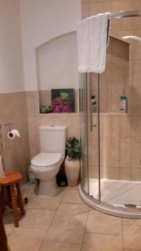 a bathroom with a toilet and a shower at St Algars b&b in Wimborne Minster