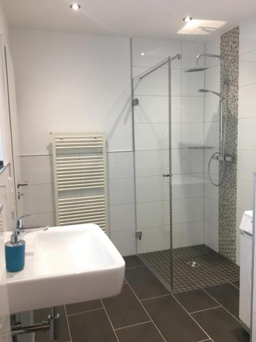 a bathroom with a sink and a glass shower at Am Grünenplatz 65 in Wermelskirchen