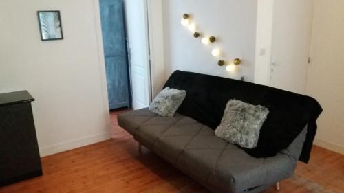 a living room with a couch with two pillows on it at Appartement Taïko in La Flèche