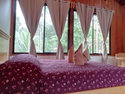 a bedroom with a purple bed with pillows and windows at Hotel El Congo in Drake