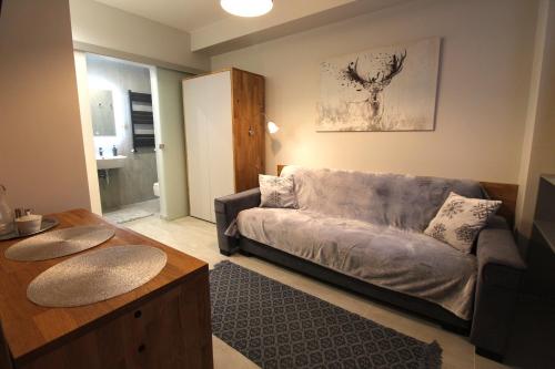 Η κουζίνα ή μικρή κουζίνα στο Apartamenty 11-go 26 i 22 Listopada by Royal Aparts