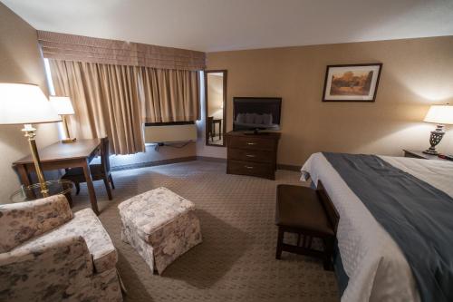 Habitación de hotel con cama, escritorio y TV. en Deer Lake Motel en Deer Lake