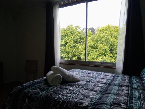 a bedroom with a bed and a large window at Hostal Los Castaños in Viña del Mar