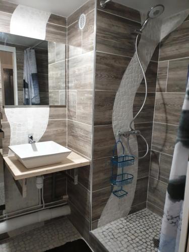 a bathroom with a sink and a shower at Résidence azur sancy in Le Mont-Dore