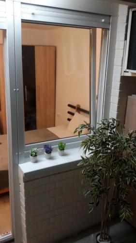 un espejo con tres macetas en una cornisa en Dandelo, en Novi Sad
