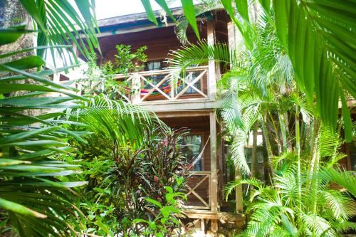 a building with a balcony in the middle of trees at Las Rocas Resort and Dive Center in West Bay
