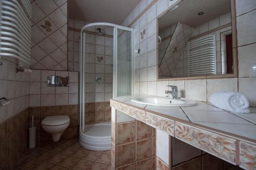 ザコパネにあるWilla Wygrodziskoのバスルーム(洗面台、トイレ、鏡付)