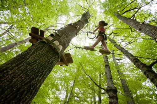a woman climbing up a tree in the forest at lecurieabedous in Bedous