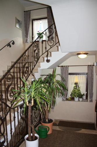 a staircase with potted plants in a house at Hotel zur Waage in Bad Münstereifel