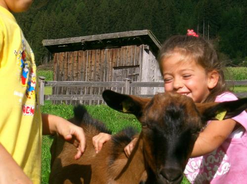 a little girl petting a brown cow at Schottenhof in Fulpmes