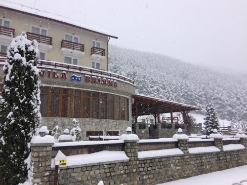 Photo de la galerie de l'établissement Vila Briana, à Păltiniş