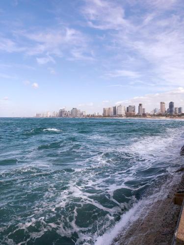a body of water with a city in the background at Margosa Boutique Hotel Tel-Aviv Jaffa in Tel Aviv
