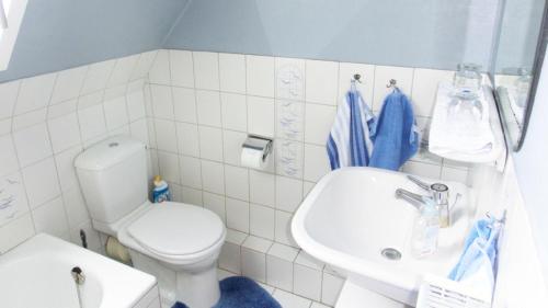 uma casa de banho com um WC branco e um lavatório. em Haus Müller em Heide