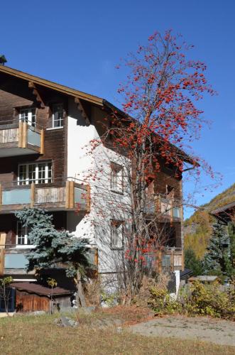 a building with a tree in front of it at Haus Alpenperle in Saas-Almagell