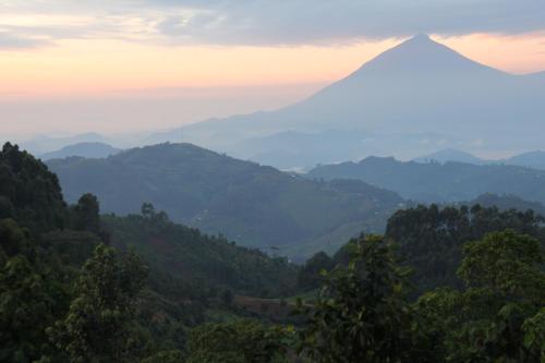 a mountain in the distance with trees in the foreground at Karungi Camp in Rubuguli