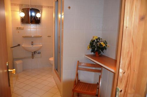 a bathroom with a toilet and a sink and a shower at Sonnenhof Bad Schandau in Bad Schandau