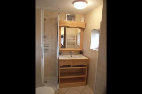une salle de bain avec douche et lavabo dans l'établissement appartement gentiane 4personnes dans gite "la maison d'augustin" classé 3 étoiles,la tour,73530 st jean d'arves, à Saint-Jean-dʼArves