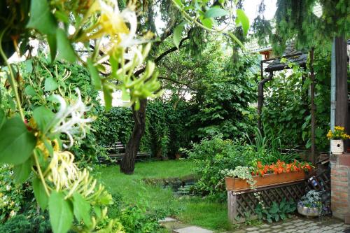 a garden with a bench with flowers in it at Angéla Vendegház in Tokaj