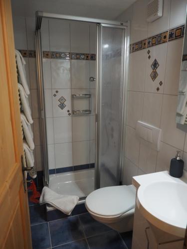 ein Bad mit einer Dusche, einem WC und einem Waschbecken in der Unterkunft Tgantieni Sot - Apartment mit Herz in Lenzerheide