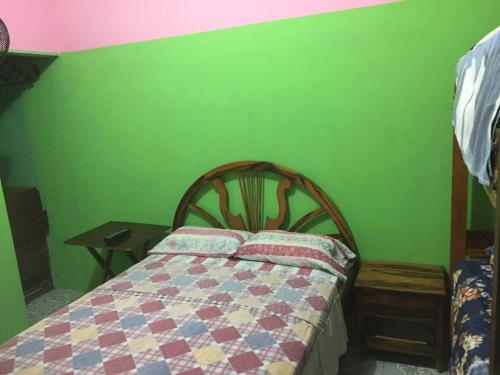 a bedroom with a bed and a green wall at Hostal Camping Beach in Salinas