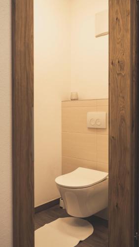 a bathroom with a white toilet in a room at Haus Schlager "dasAppartement" in Annaberg im Lammertal
